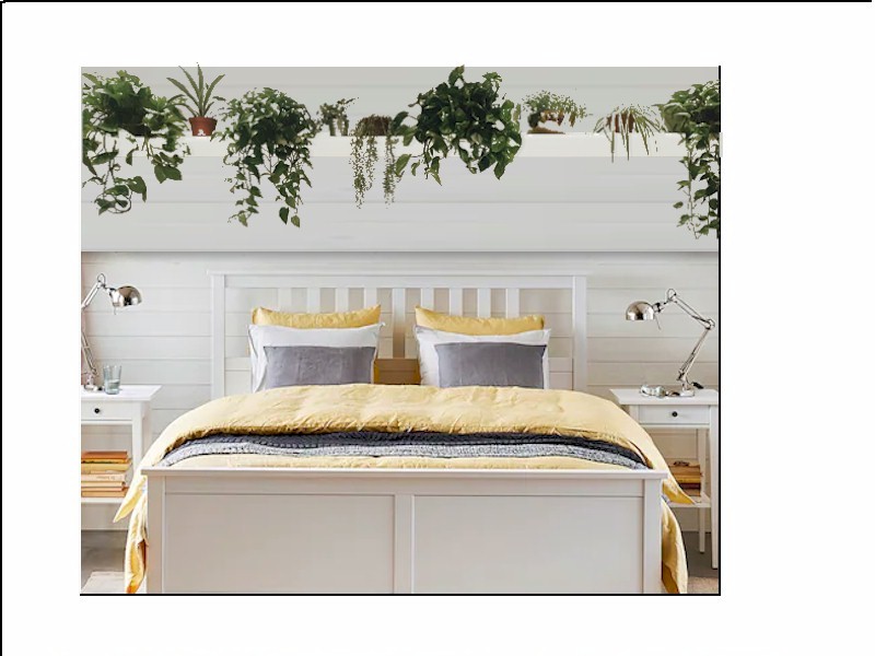 Wellness by Choice Retreat Pacific NW